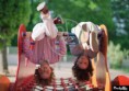 /album/photogallery/kinderen6-jpg1/